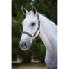 Kincade Leather Name Plate Halter - Image 2