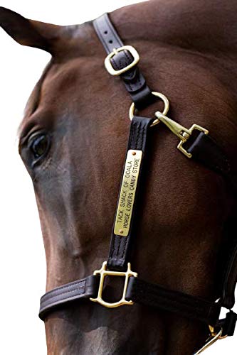  Tack Shack of Ocala Leather Turnout Halter with Customized  Engraved Name Plate, Brown Leather with Solid Brass Hardware