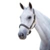 Kincade Leather Name Plate Halter