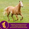 Horse Health - Joint Combo Hoof & Coat, 8 pound - Image 7