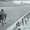 Gatsbe Exchange Secretariat Wins Triple Crown, 3 8x10 Photos