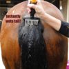 Aqua Comb for Horses - Instantly Wets Tail & Mane - Image 6