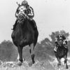Gatsbe Exchange Secretariat Wins Triple Crown, 3 8x10 Photos - Image 2