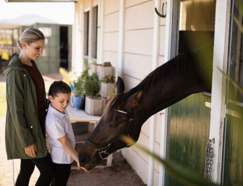 For Mom: Beauty RoundUP