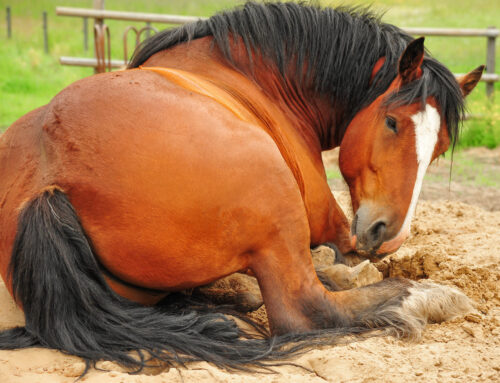 Weather Changes, Colic?