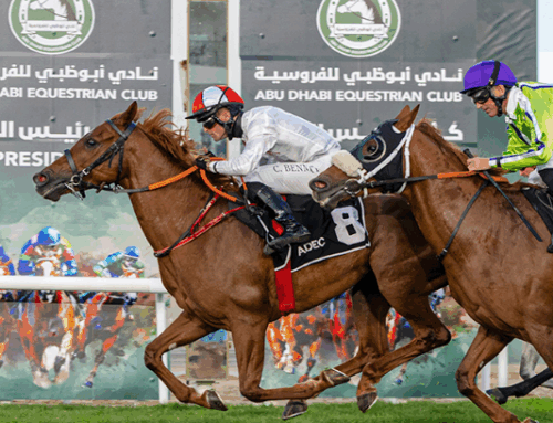 Abu Dhabi Turf Club: Arabian Racing at its Best