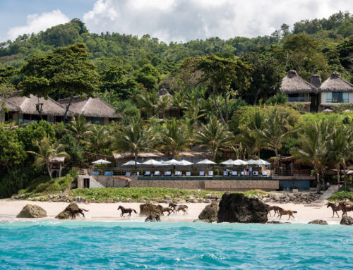 PARADISE Found! Nihi Sumba